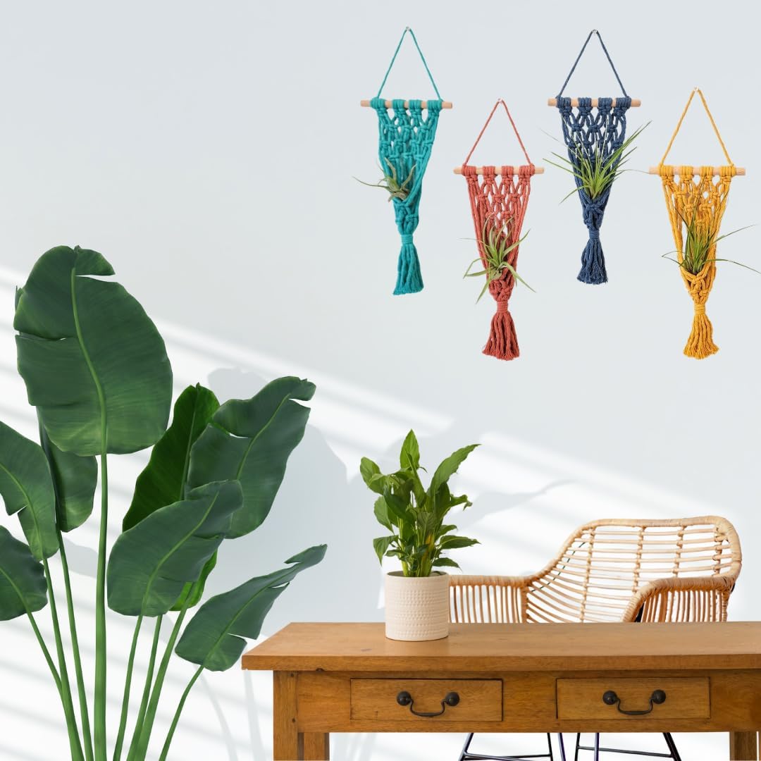 4 Pack Air plant holder | Live plants macrame plant hanger Air plants live holders | plant hanger indoor wall planters for indoor plants plant stand indoor air plant holders unique (Cozy Combo)
