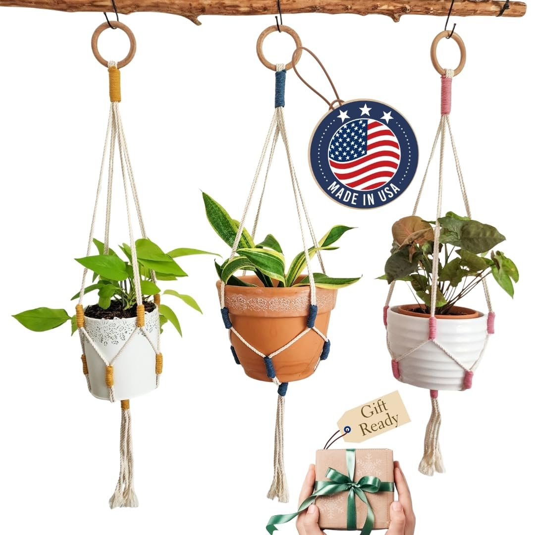 Color Block Plant Hangers (Cityscape)