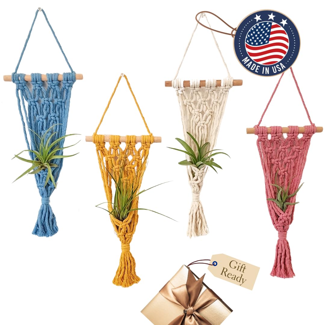 4 Pack Air plant holder | Live plants macrame plant hanger Air plants live holders | plant hanger indoor wall planters for indoor plants plant stand indoor air plant holders unique (Cozy Combo)