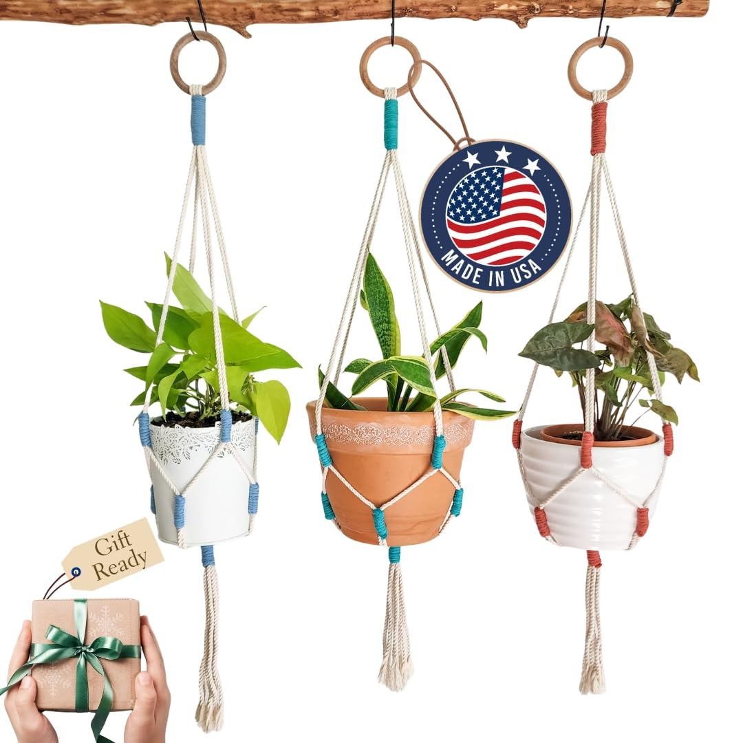 Color Block Plant Hangers (Cityscape)