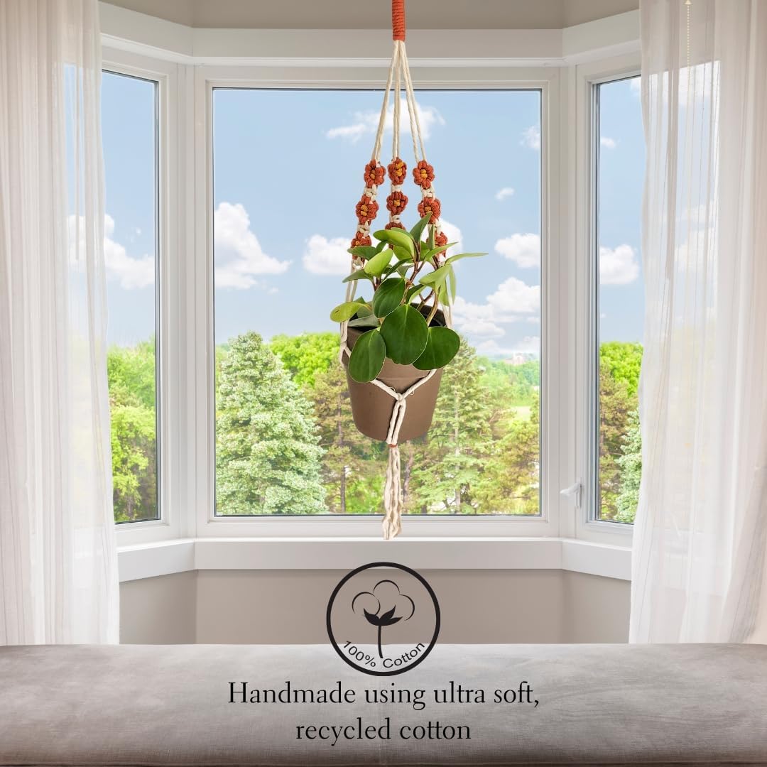 Macrame plant hanger with Daisies | Hanging plant holder | Macrame Plant hangers outdoor and indoor hanging planters Plant stand indoor Boho Decor hanging planter stand/plant shelf (Cafe Latte)