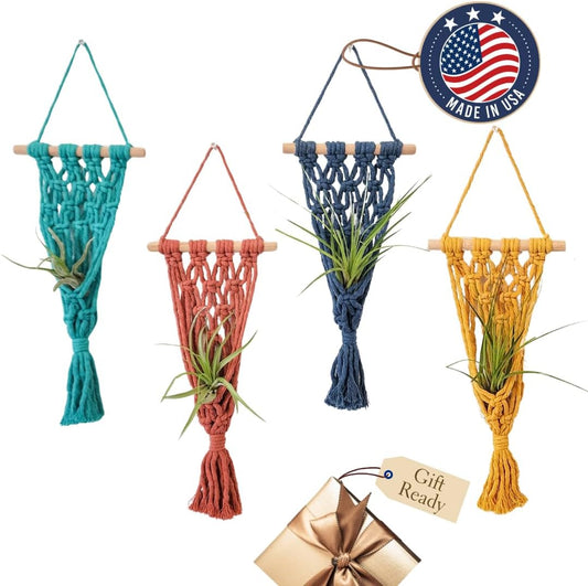 4 Pack Air plant holder | Live plants macrame plant hanger Air plants live holders | plant hanger indoor wall planters for indoor plants plant stand indoor air plant holders unique (Cozy Combo)