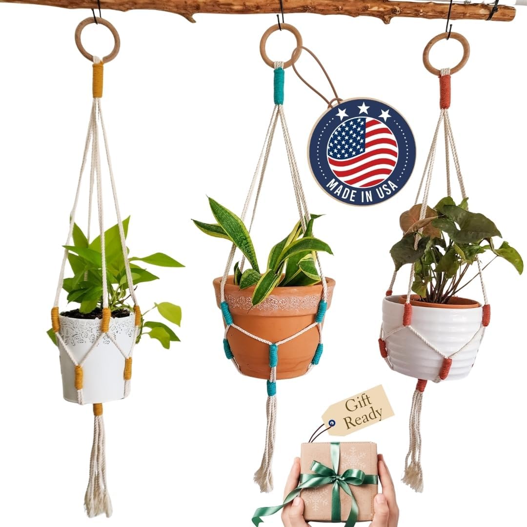 Color Block Plant Hangers (Cityscape)