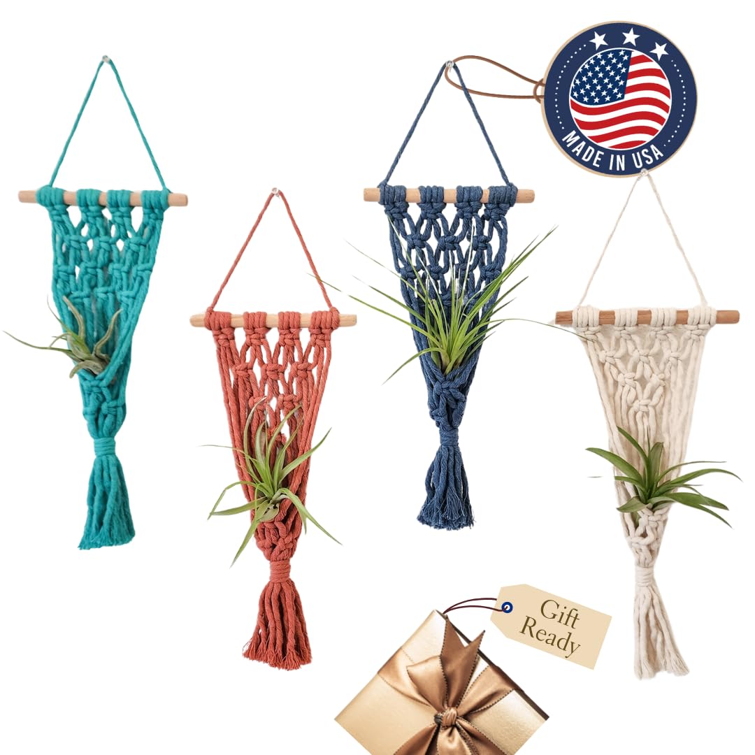 4 Pack Air plant holder | Live plants macrame plant hanger Air plants live holders | plant hanger indoor wall planters for indoor plants plant stand indoor air plant holders unique (Cozy Combo)