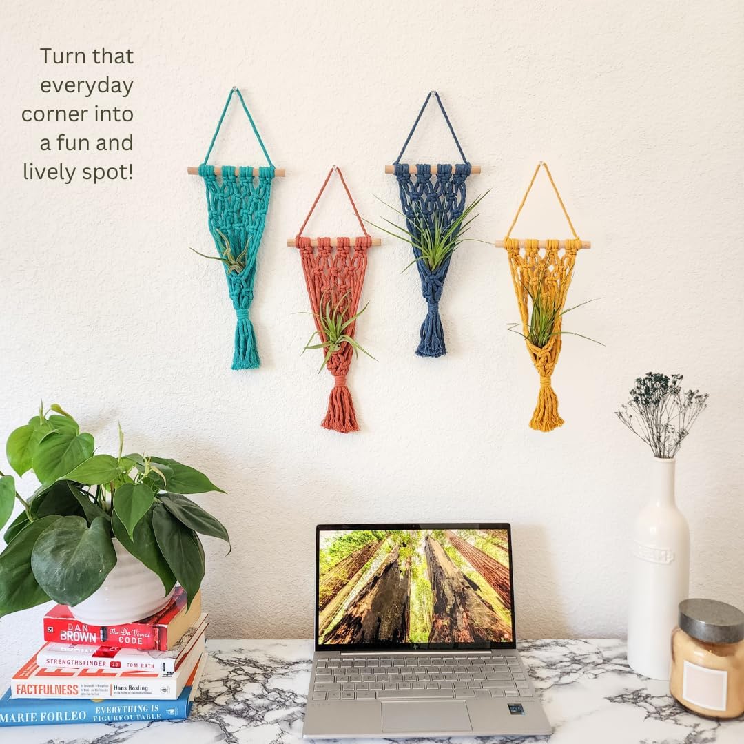 4 Pack Air plant holder | Live plants macrame plant hanger Air plants live holders | plant hanger indoor wall planters for indoor plants plant stand indoor air plant holders unique (Cozy Combo)