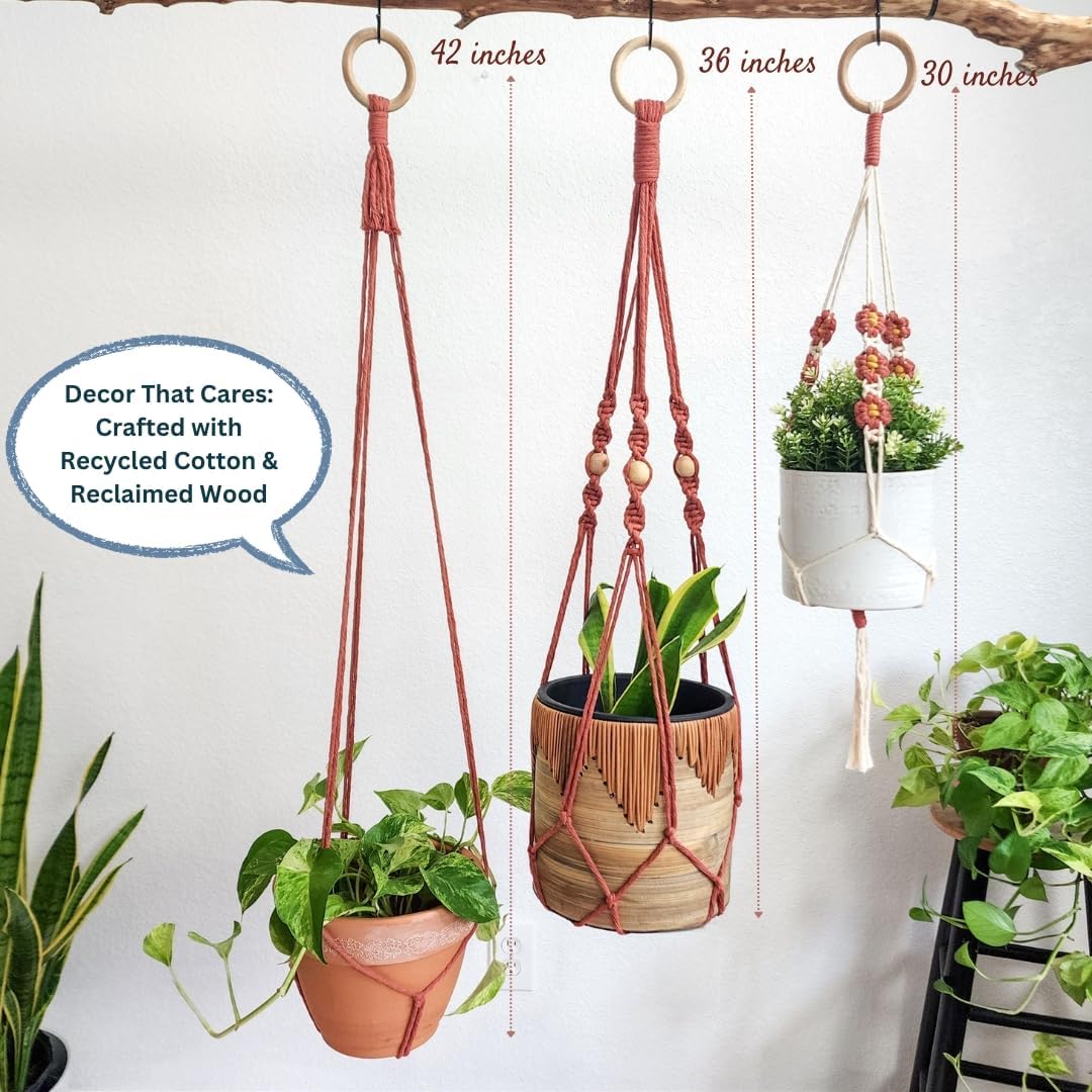 Set of 3 Macrame plant hangers with Daisies & Beads Hanging plant holder Macrame Plant hangers outdoor and indoor hanging planters Plant stand indoor Boho Decor hanging planter stand (Cafe Latte)