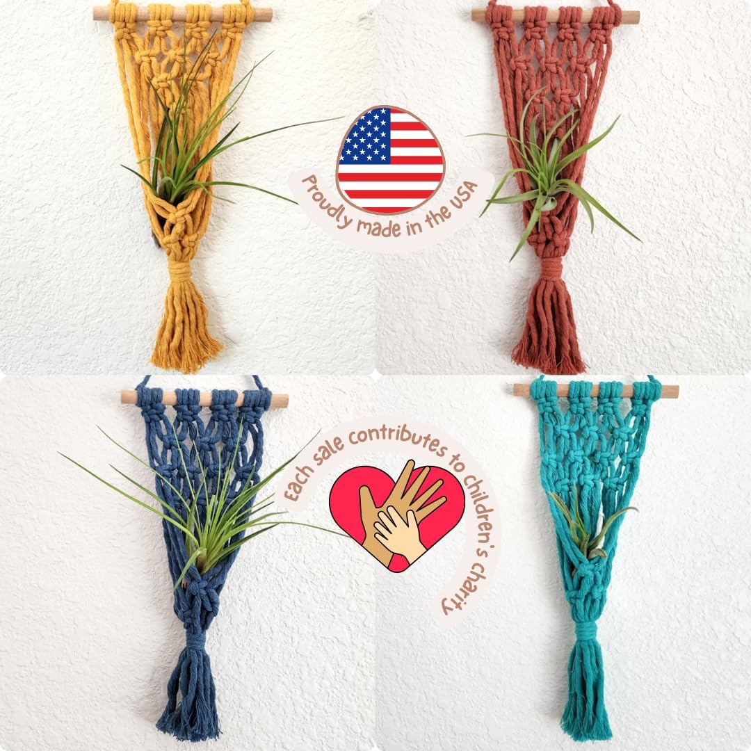 4 Pack Air plant holder | Live plants macrame plant hanger Air plants live holders | plant hanger indoor wall planters for indoor plants plant stand indoor air plant holders unique (Cozy Combo)
