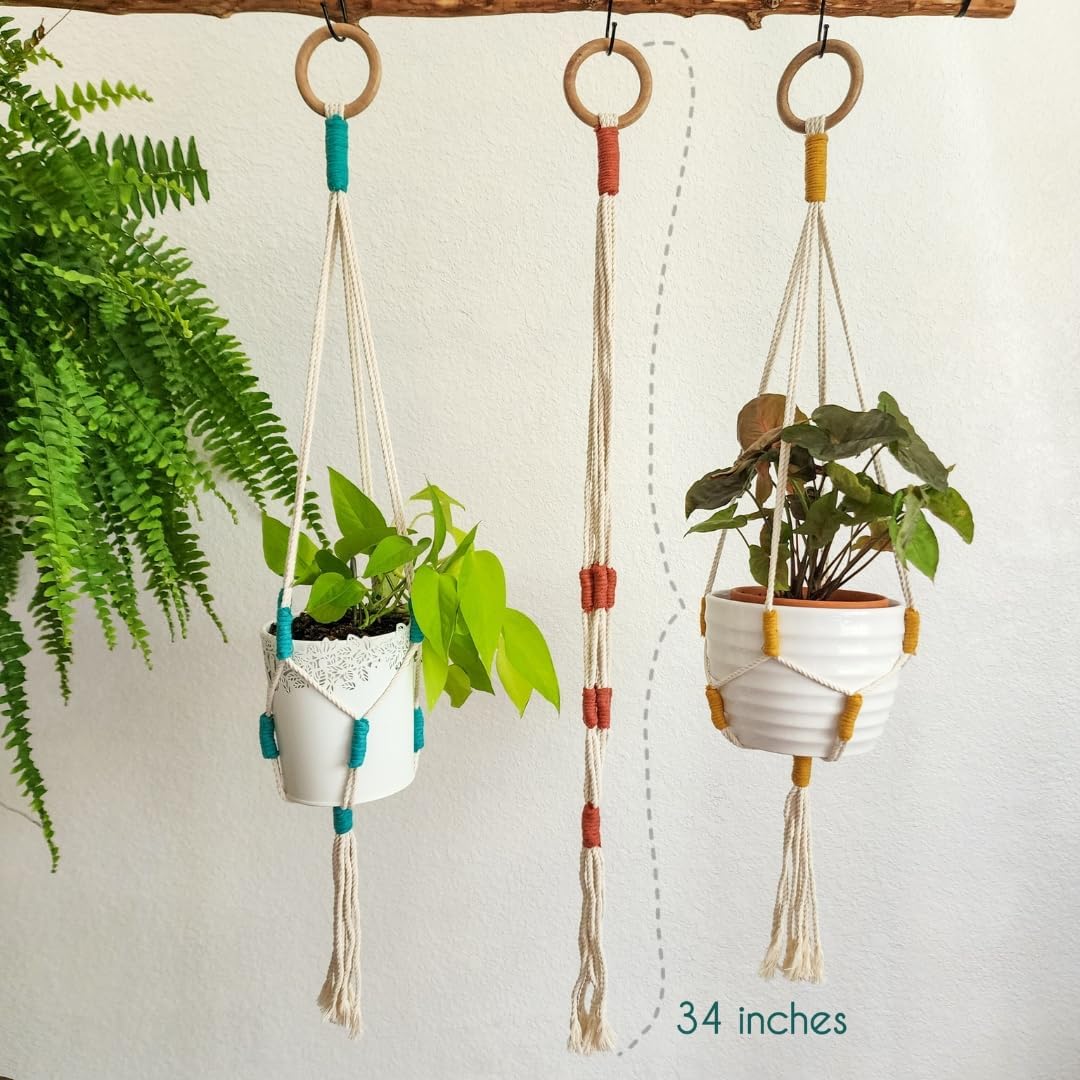 Color Block Plant Hangers (Cityscape)