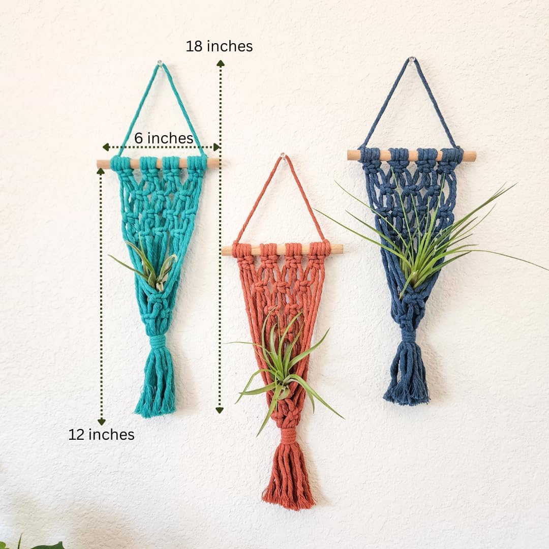 4 Pack Air plant holder | Live plants macrame plant hanger Air plants live holders | plant hanger indoor wall planters for indoor plants plant stand indoor air plant holders unique (Cozy Combo)