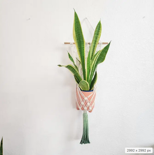 Handmade and Dip-Dyed Macrame Plant Hanger