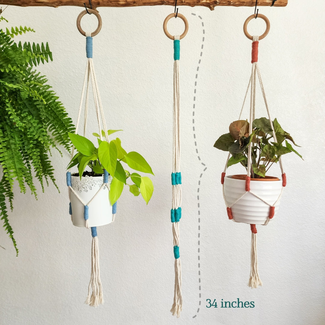 Color Block Plant Hangers