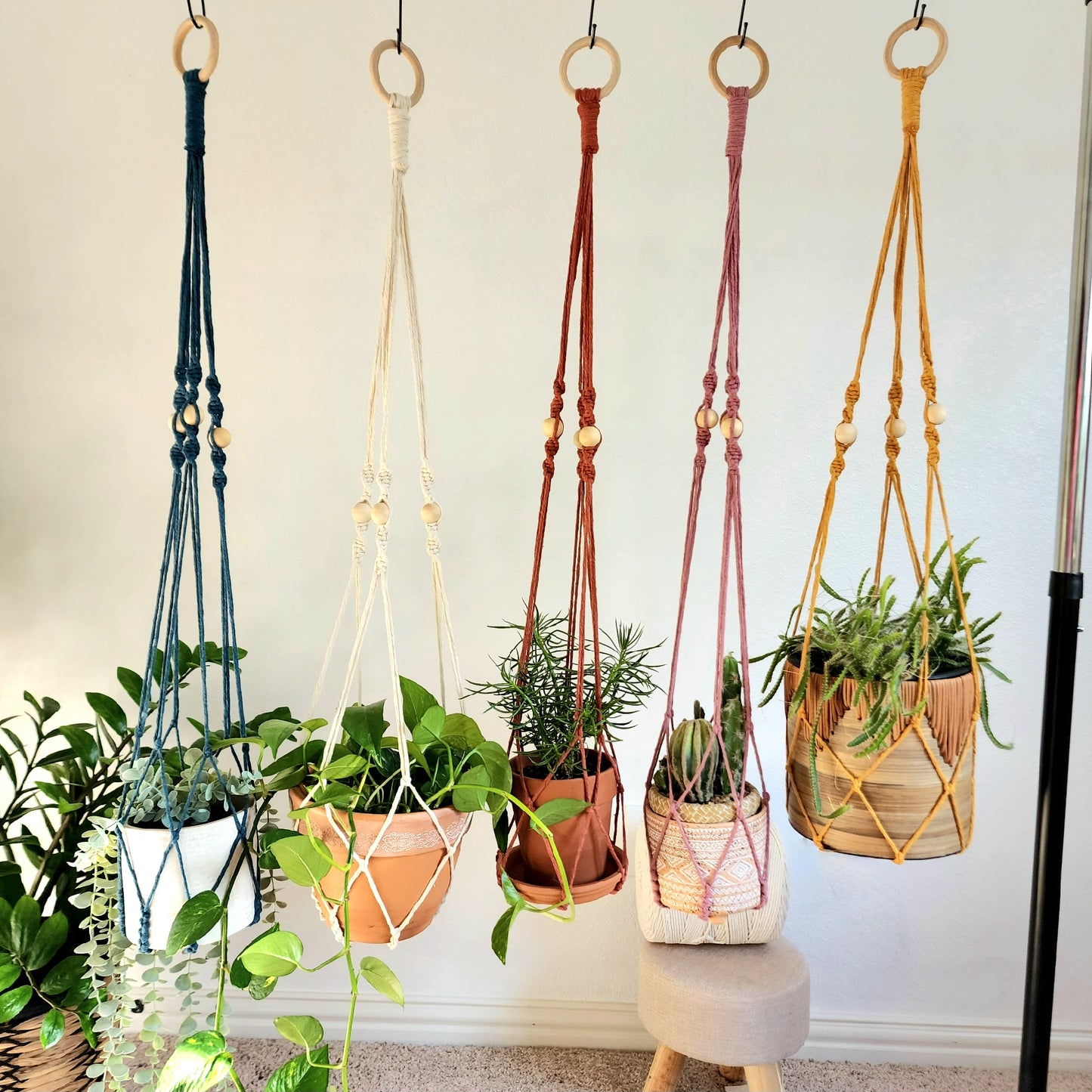 Macrame Plant Hanger With No Tassels