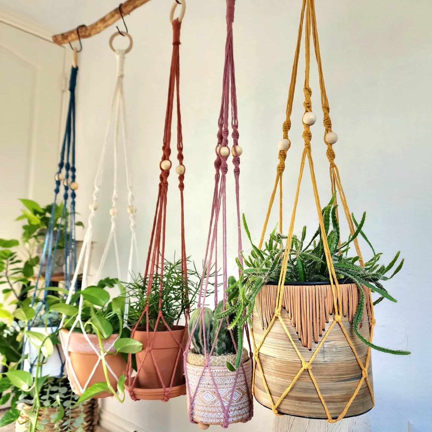 Macrame Plant Hanger With No Tassels