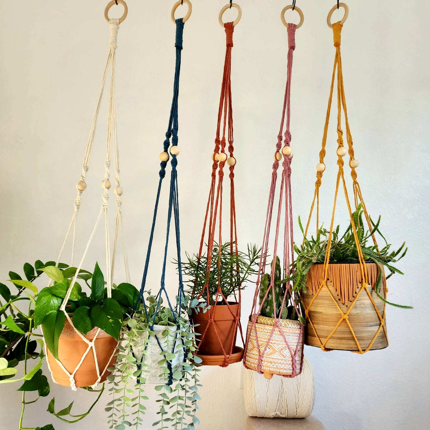 Macrame Plant Hanger With No Tassels