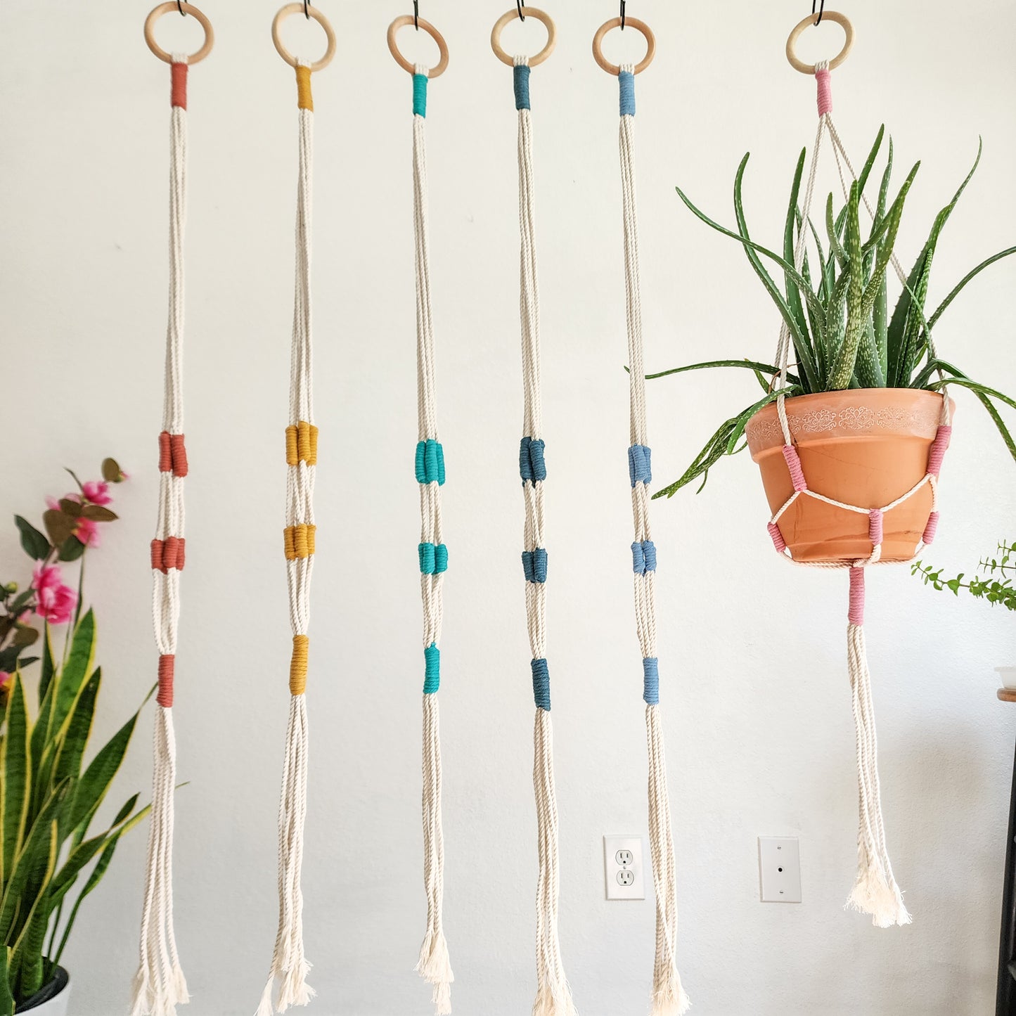 Color Block Plant Hangers, Handmade Macrame Plant Accessory