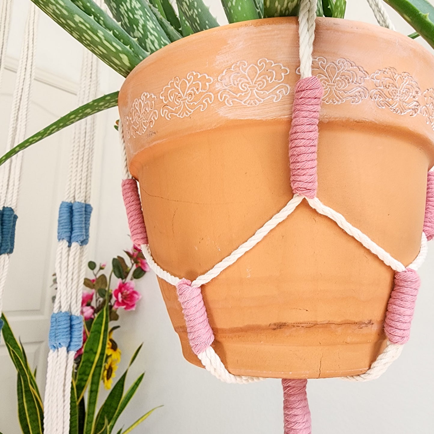 Color Block Plant Hangers, Handmade Macrame Plant Accessory