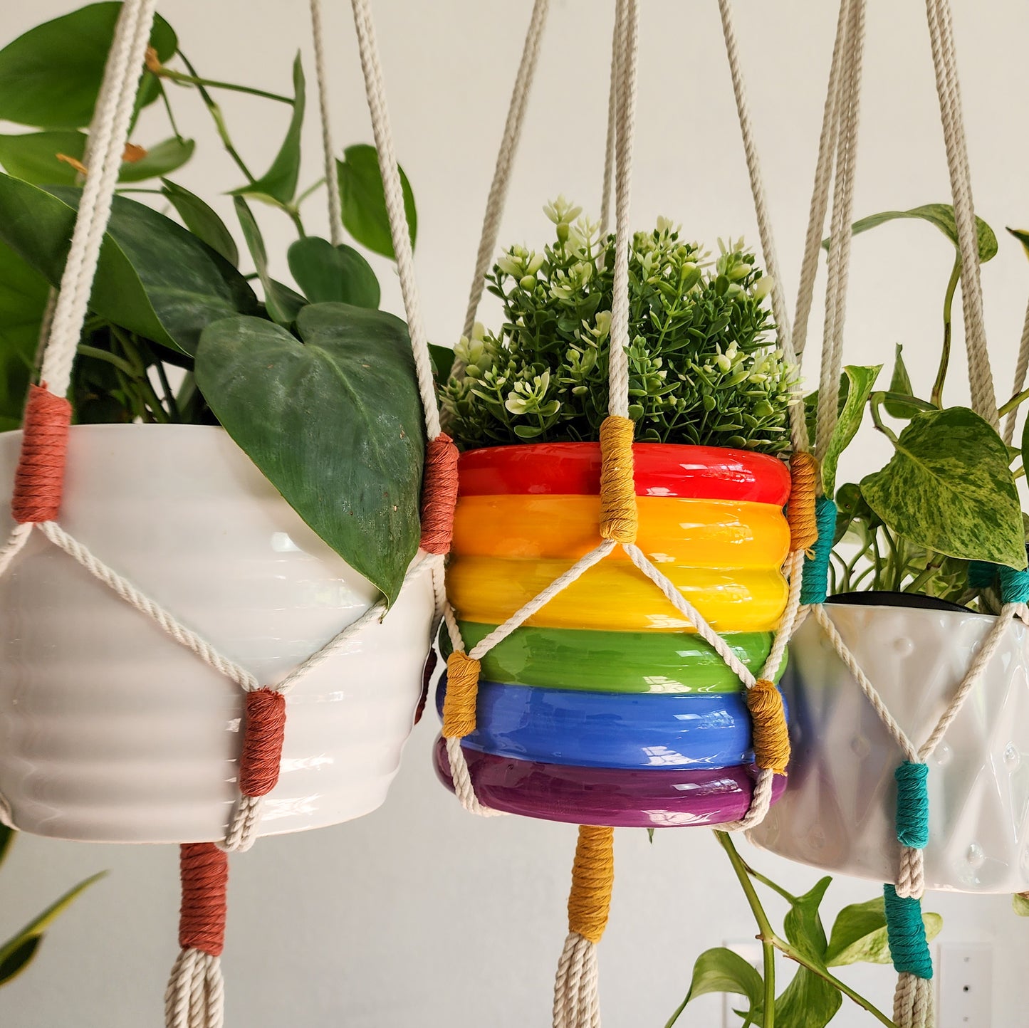 Color Block Plant Hangers, Handmade Macrame Plant Accessory