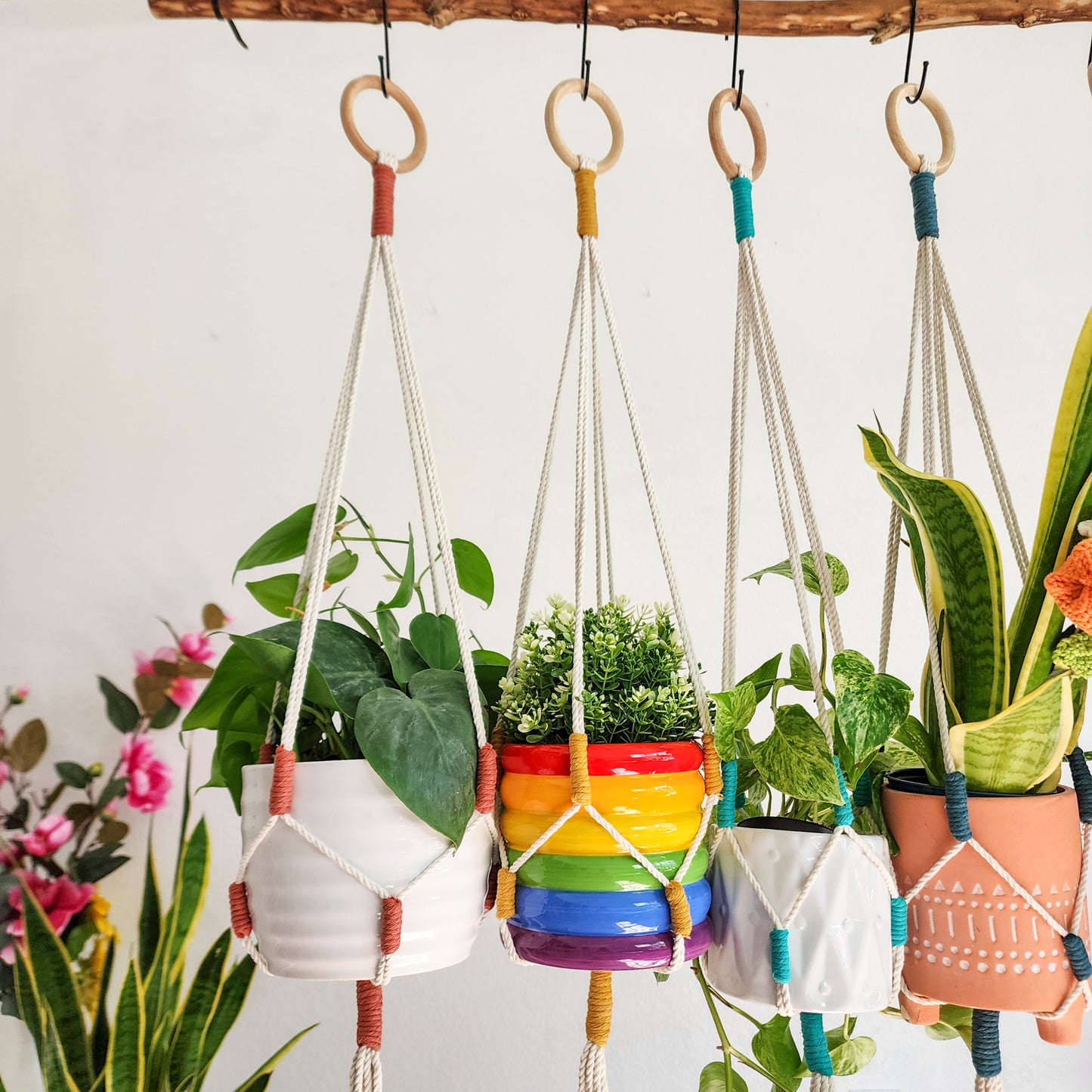 Color Block Plant Hangers, Handmade Macrame Plant Accessory