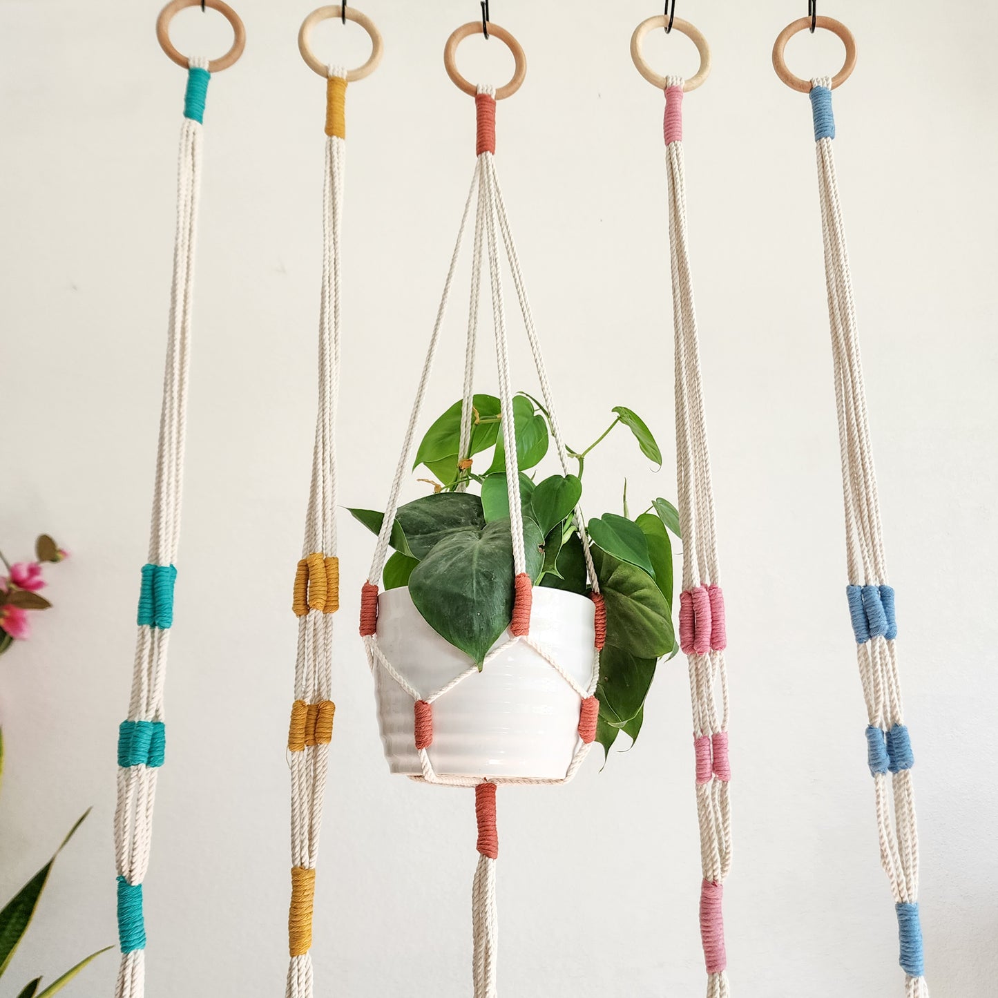 Color Block Plant Hangers, Handmade Macrame Plant Accessory