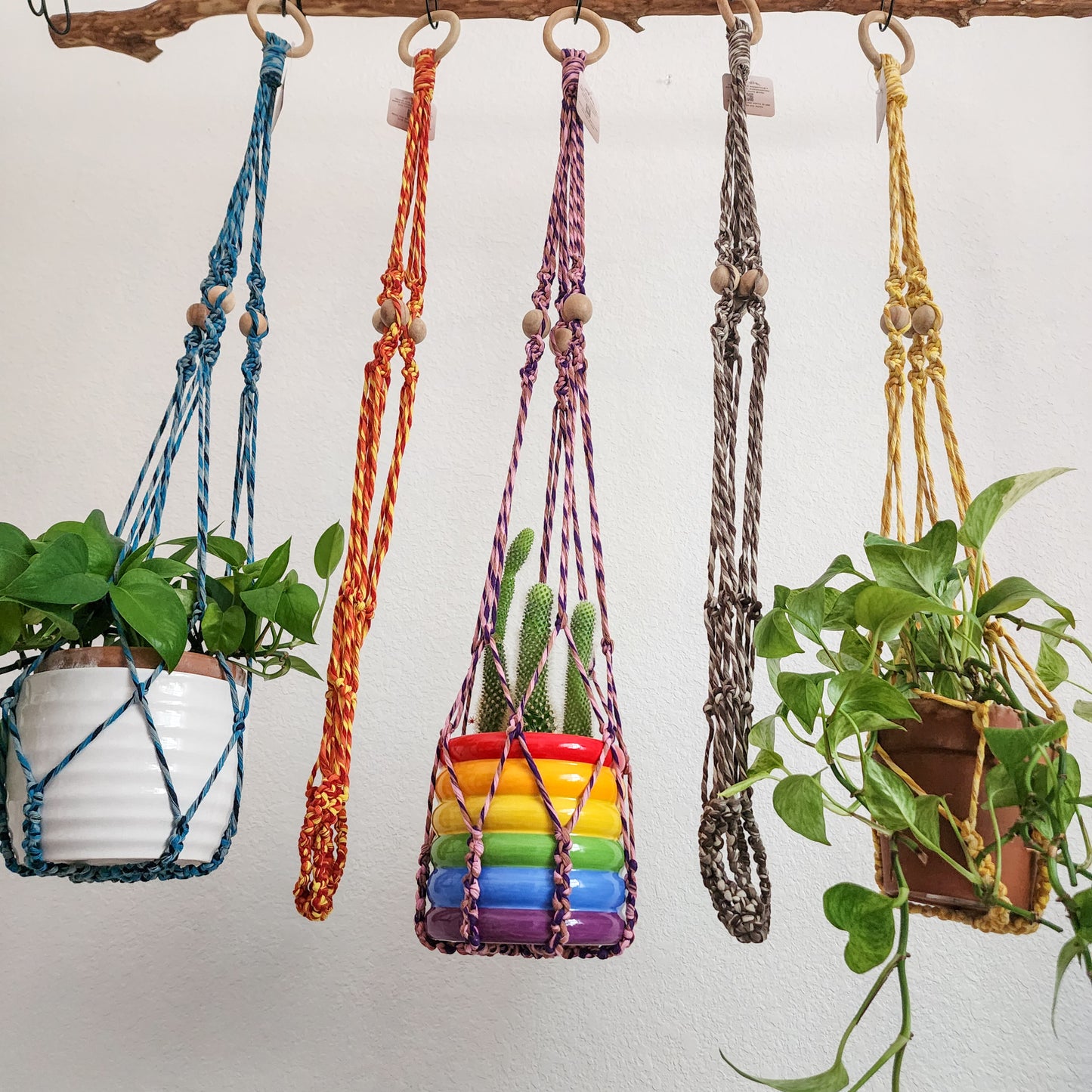Twisted Harmony Macrame Plant Hanger| Pack of 5 - $10 each | WHOLESALE