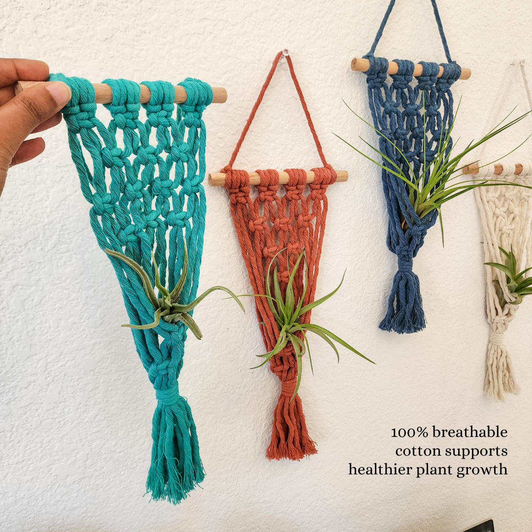 4 Pack Air plant holders | Plant Mom Gifts for tiny plants