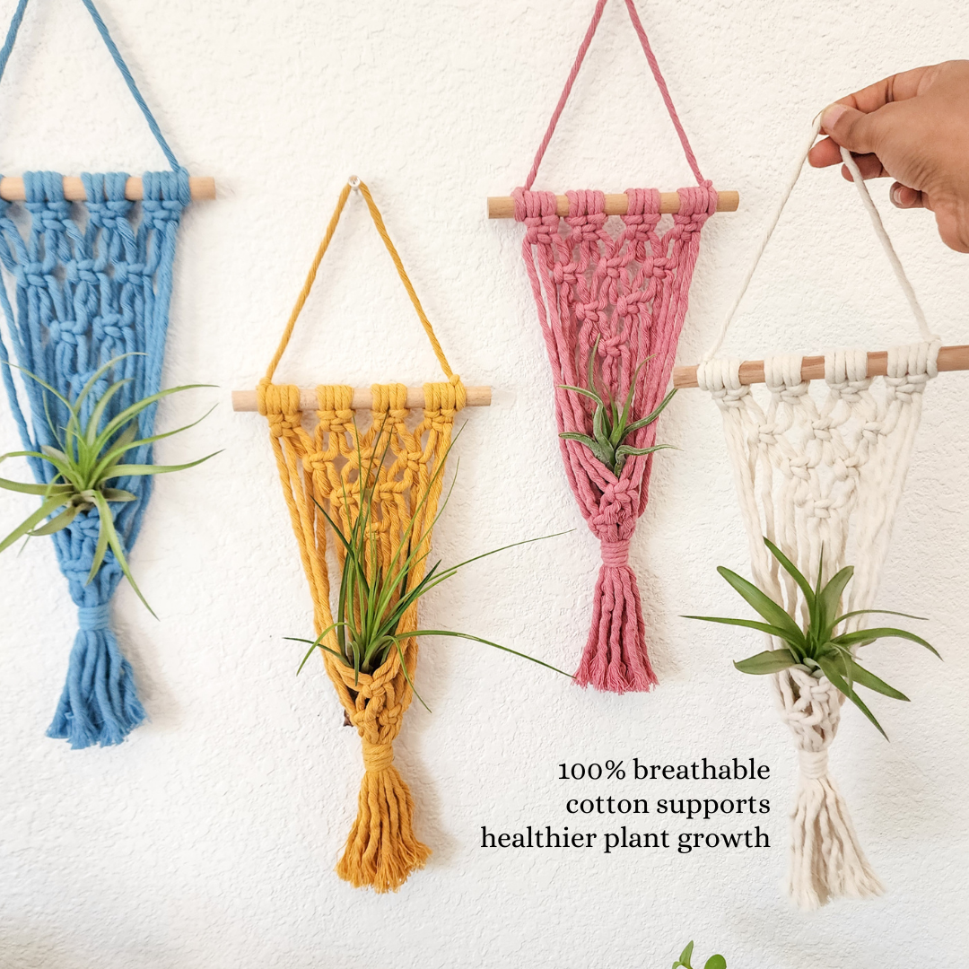 4 Pack Air plant holders | Plant Mom Gifts for tiny plants