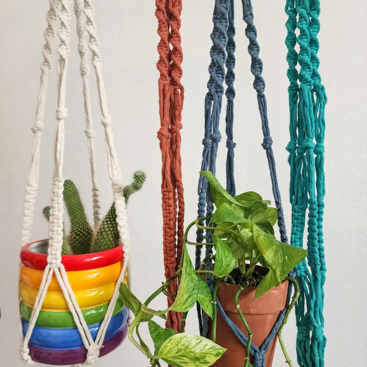Modern Boho Eco Plant Hanger | Pack of 4 - $8 each | WHOLESALE