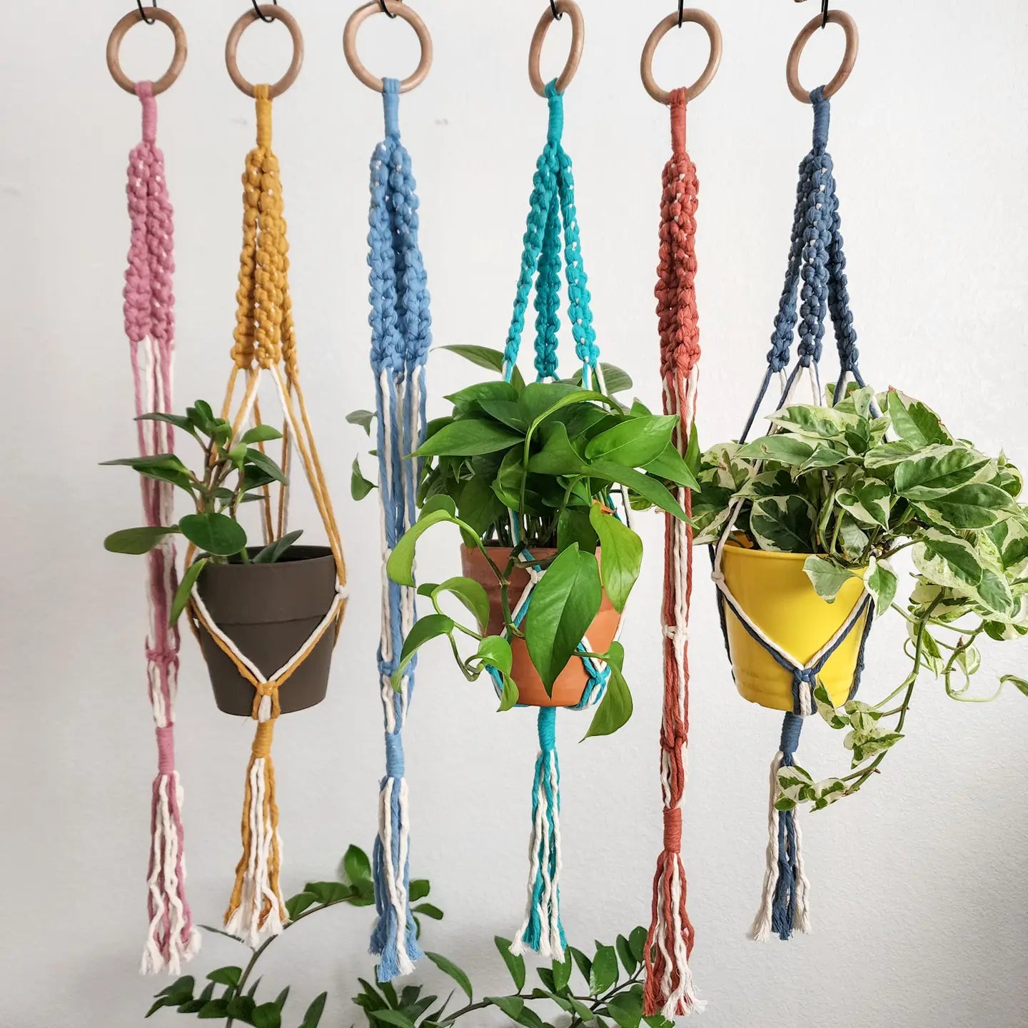 Plant Hanger, Handmade Plant Accessories & Gift, Boho Decor | Pack of 3 - $8 each | WHOLESALE