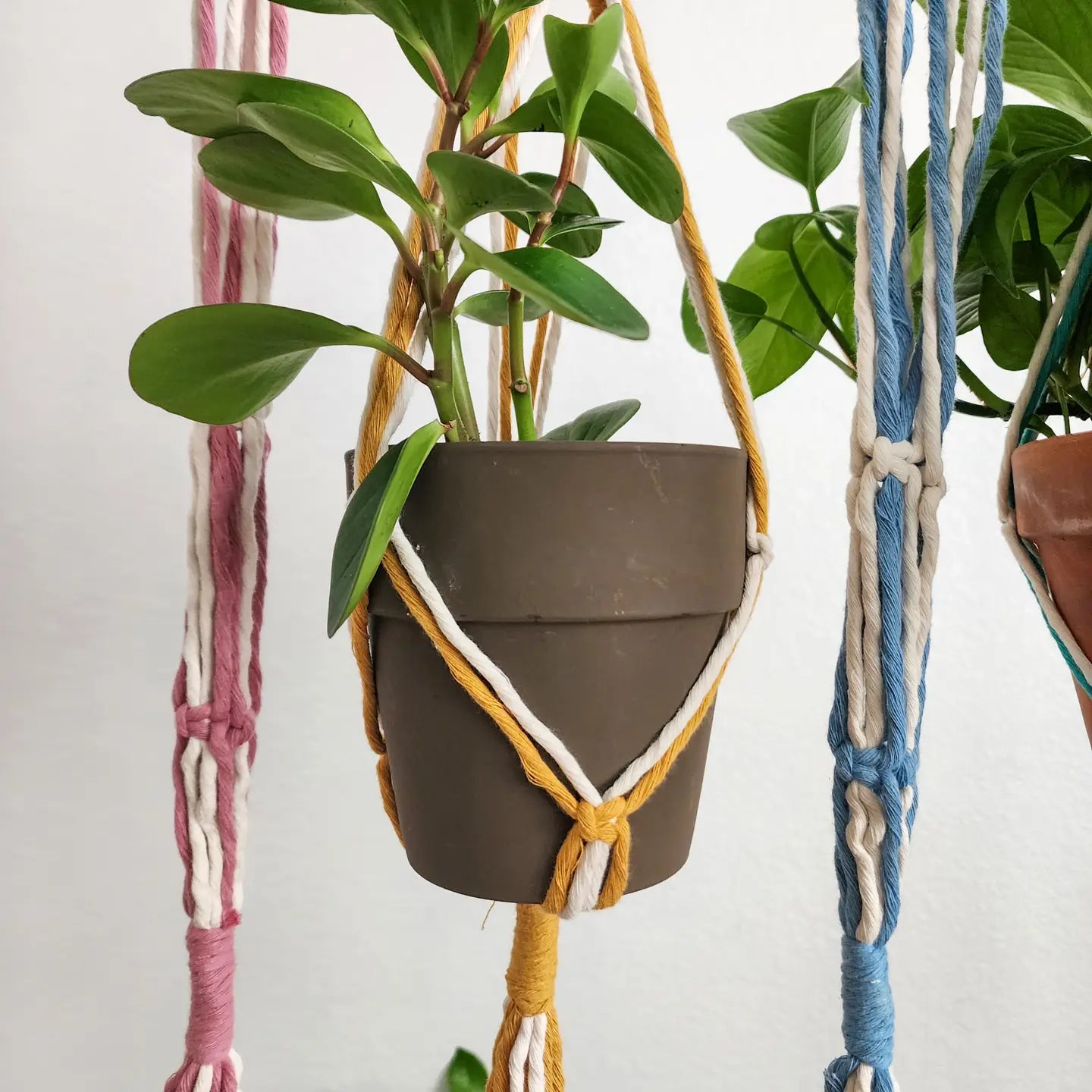 Plant Hanger, Handmade Plant Accessories & Gift, Boho Decor | Pack of 3 - $8 each | WHOLESALE