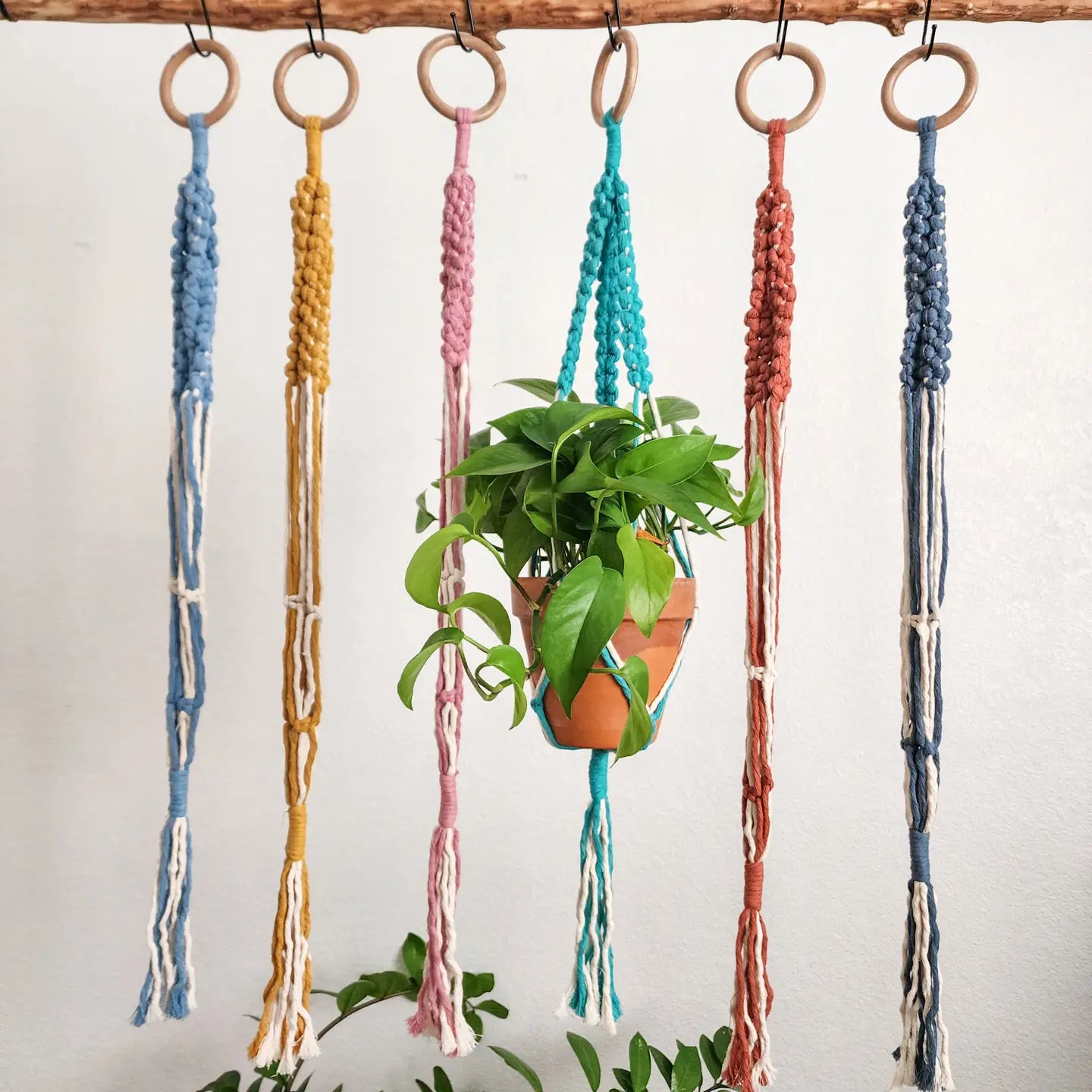 Plant Hanger, Handmade Plant Accessories & Gift, Boho Decor | Pack of 3 - $8 each | WHOLESALE