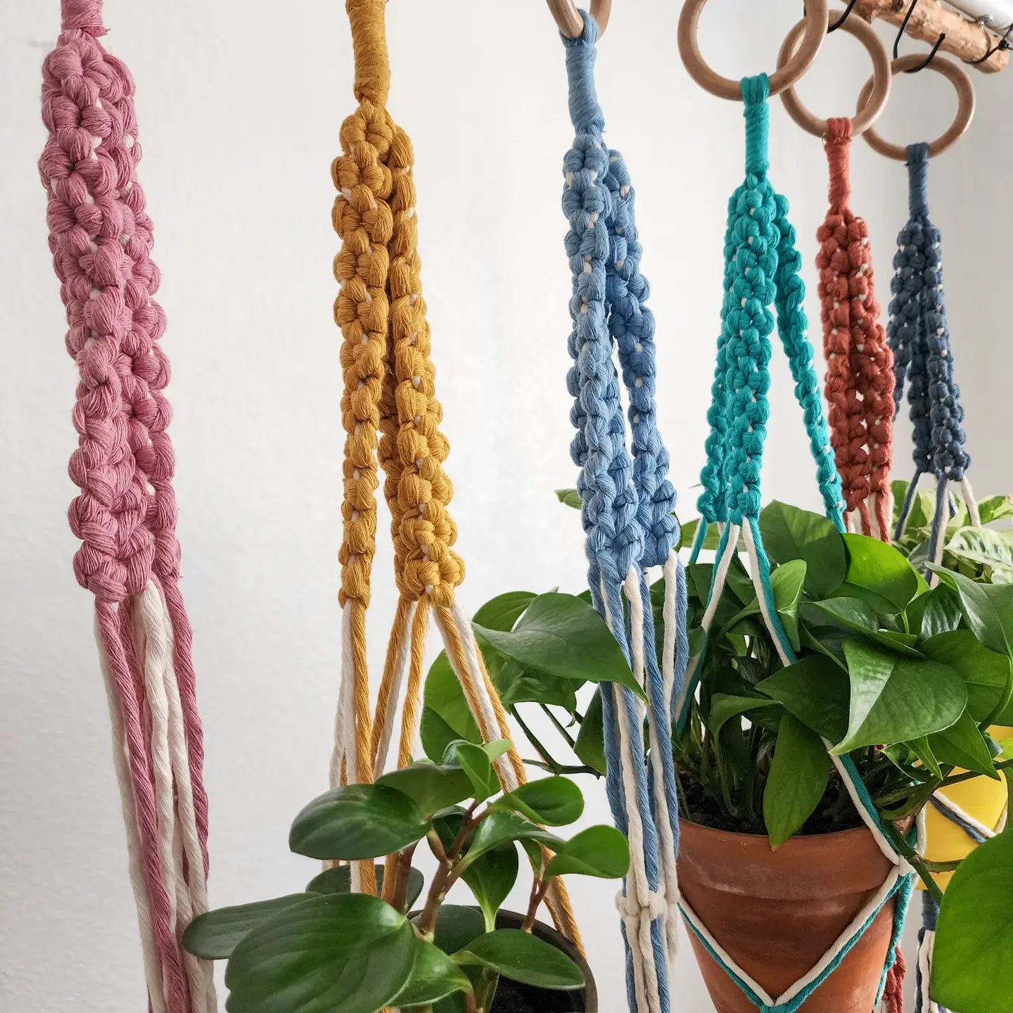 Plant Hanger, Handmade Plant Accessories & Gift, Boho Decor | Pack of 3 - $8 each | WHOLESALE
