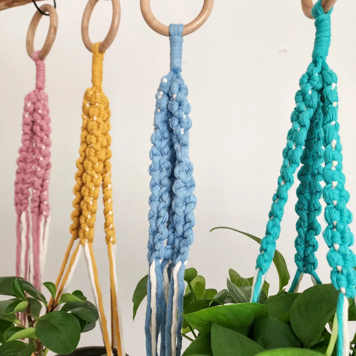 Plant Hanger, Handmade Plant Accessories & Gift, Boho Decor | Pack of 3 - $8 each | WHOLESALE