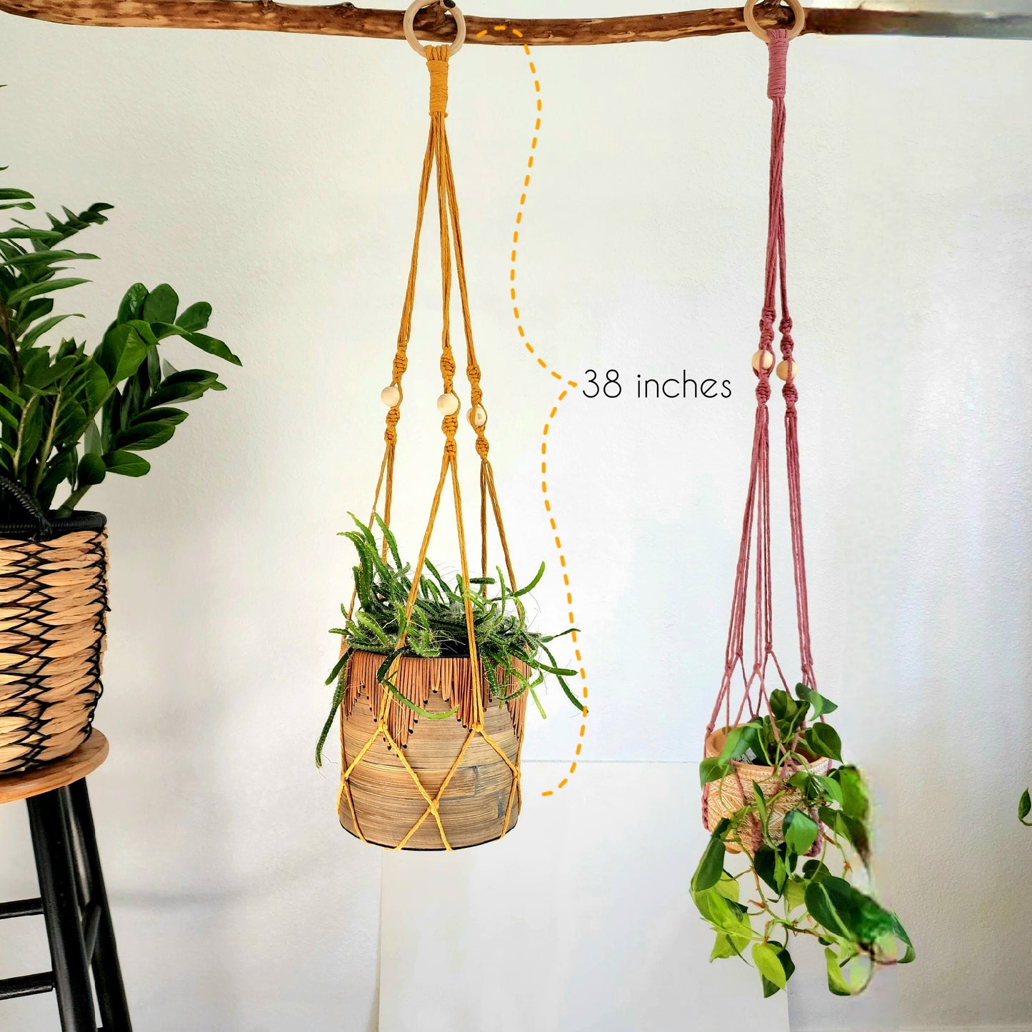 Macrame Plant Hanger With No Tassels