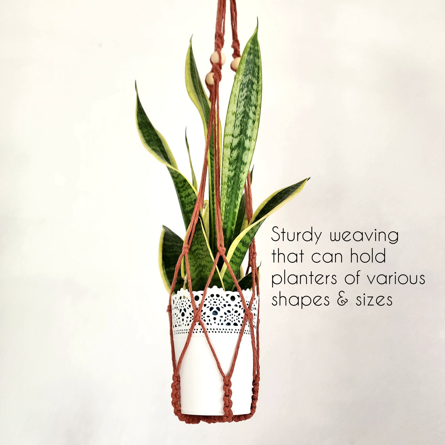 Macrame Plant Hanger With No Tassels