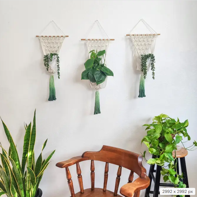 Handmade and Dip-Dyed Macrame Plant Hanger, Handwoven Ombre Colored Plant Hanging with Tassels, Sustainable Cotton Cords, Gift for Plant Mom