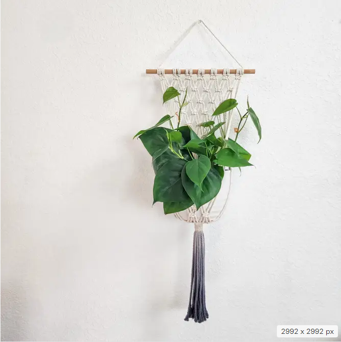 Handmade and Dip-Dyed Macrame Plant Hanger, Handwoven Ombre Colored Plant Hanging with Tassels, Sustainable Cotton Cords, Gift for Plant Mom