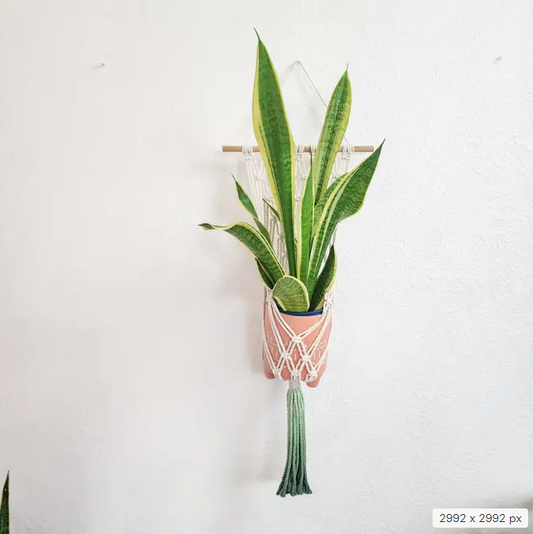 Handmade and Dip-Dyed Macrame Plant Hanger, Handwoven Ombre Colored Plant Hanging with Tassels, Sustainable Cotton Cords, Gift for Plant Mom