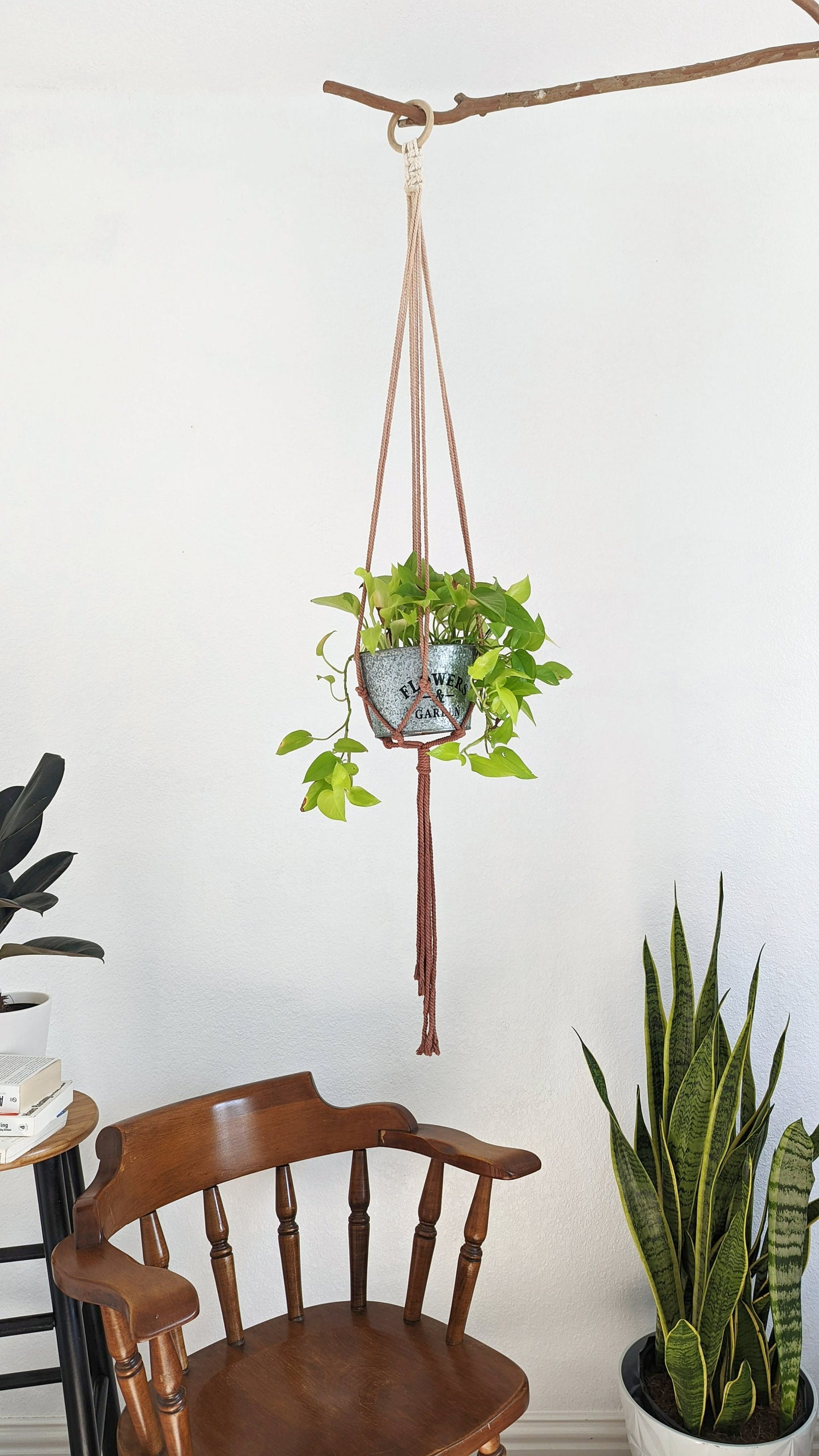 Handmade and Dip-Dyed Macrame Plant Hanger Art - 'Ivy', Handwoven Ombre Colored Plant Hanging with Tassels, Sustainable Cotton Cords