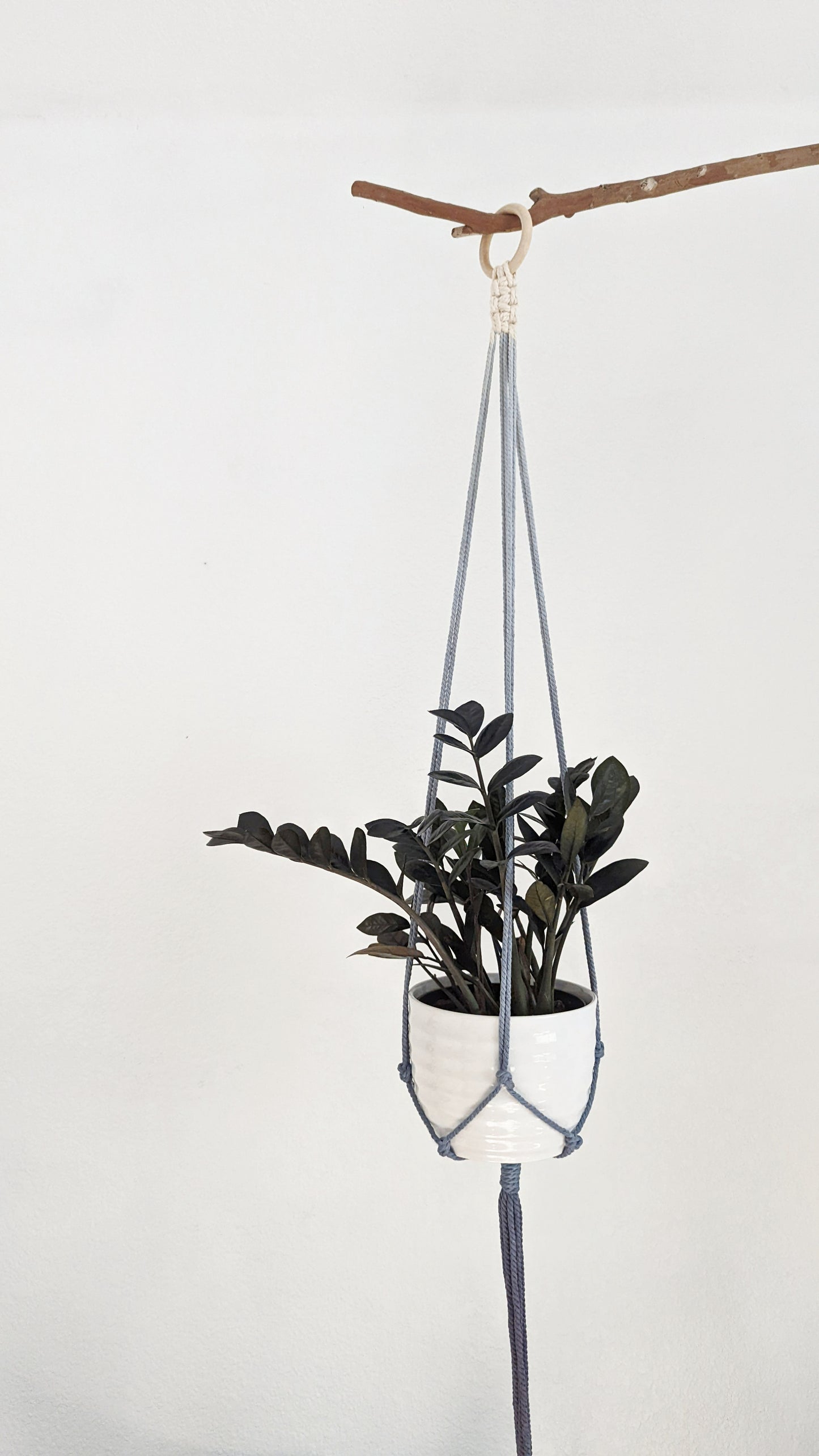 Handmade and Dip-Dyed Plant Hanger - 'Ivy' WHOLESALE