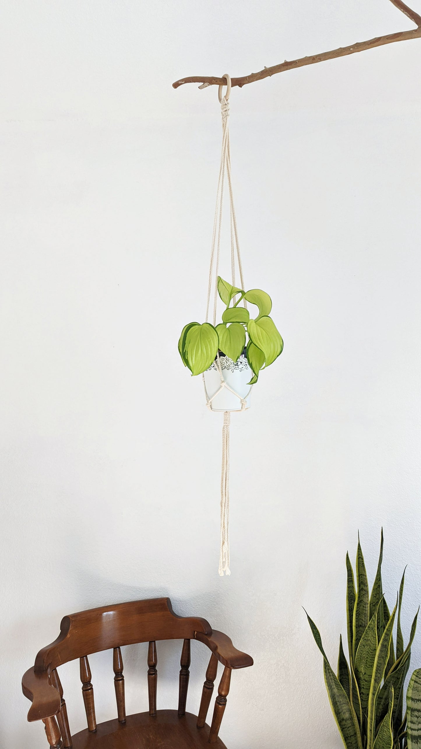 Handmade and Dip-Dyed Plant Hanger - 'Ivy' WHOLESALE