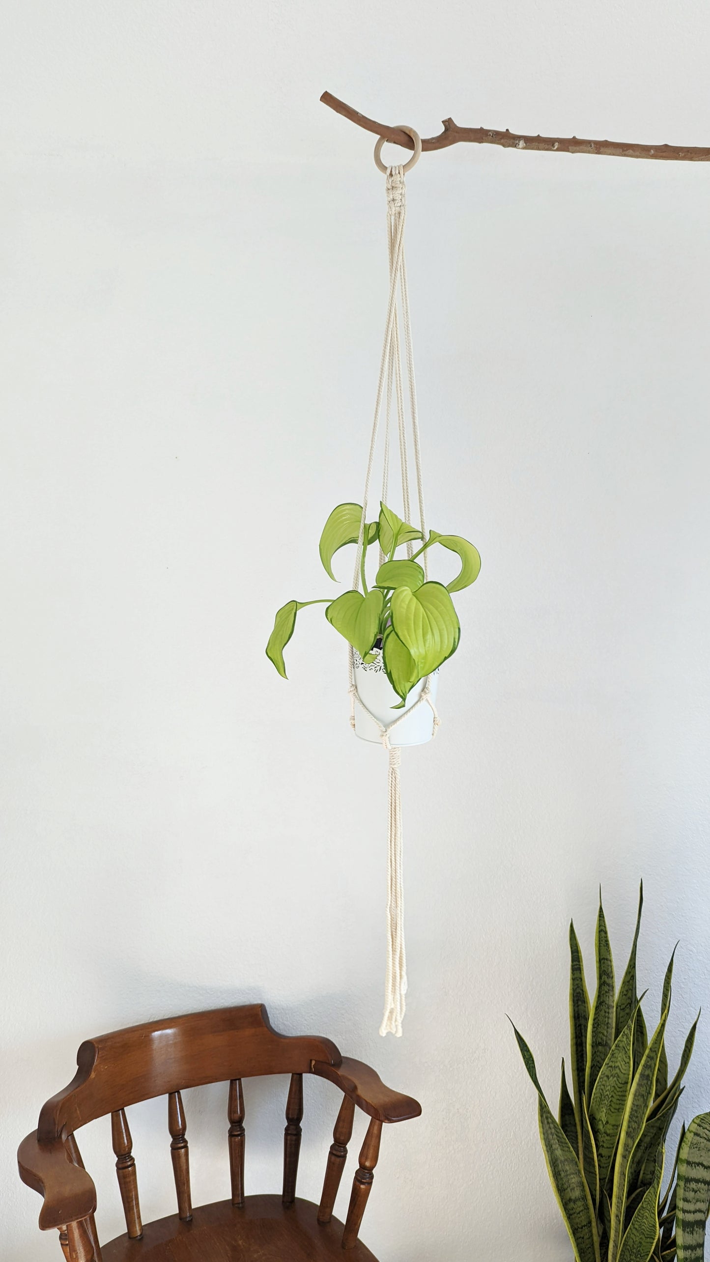 Handmade and Dip-Dyed Plant Hanger - 'Ivy' WHOLESALE