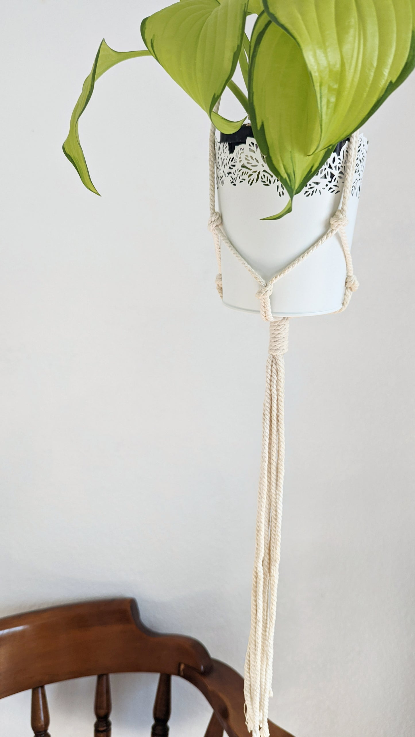 Handmade and Dip-Dyed Plant Hanger - 'Ivy' WHOLESALE