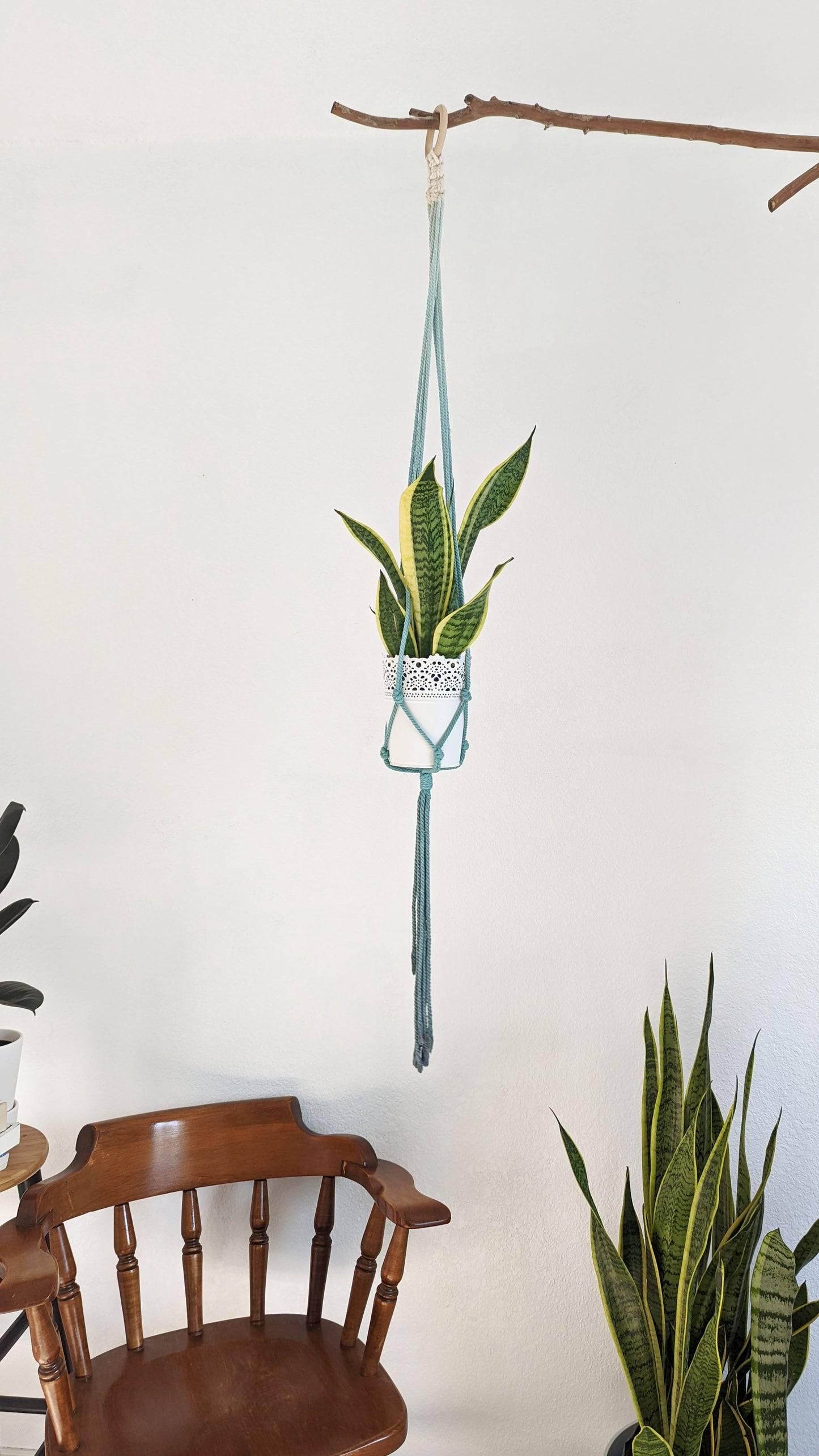 Handmade and Dip-Dyed Plant Hanger - 'Ivy' WHOLESALE