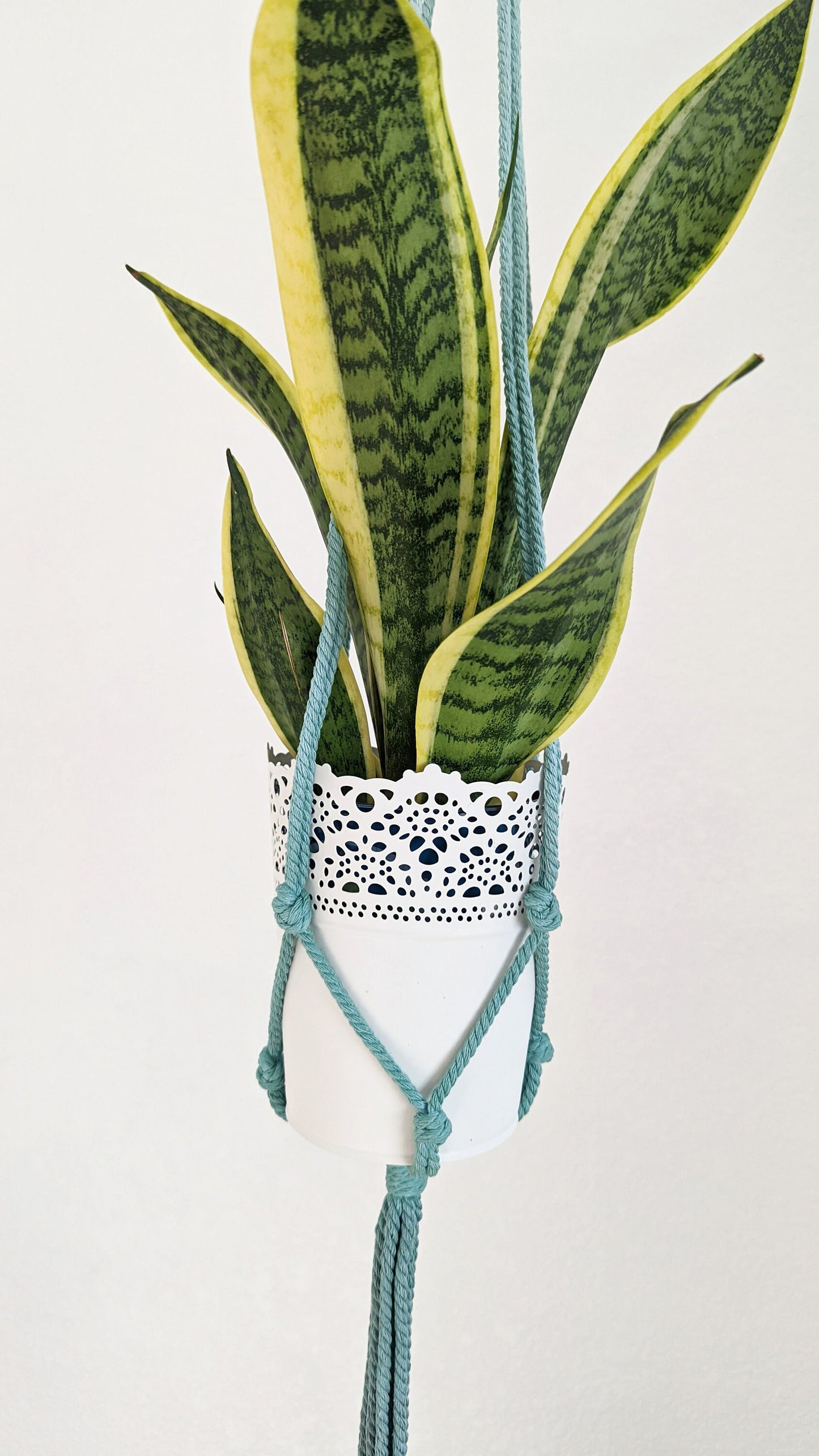 Handmade and Dip-Dyed Macrame Plant Hanger Art - 'Ivy', Handwoven Ombre Colored Plant Hanging with Tassels, Sustainable Cotton Cords